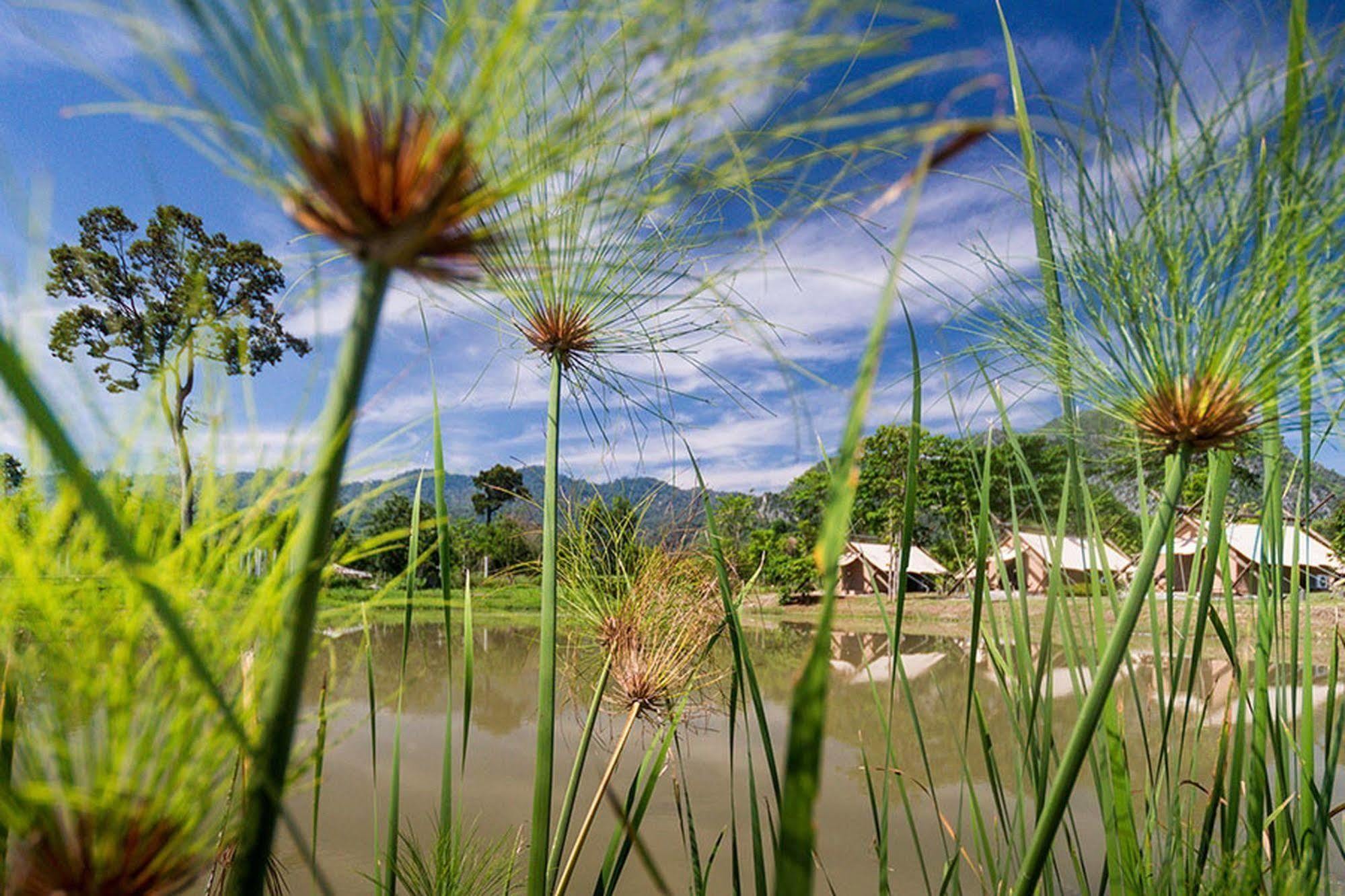 Lala Mukha Tented Resort Khao Yai Mu Si Exterior foto